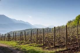 Valle Reale