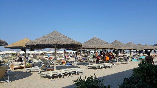 Lido Barracuda