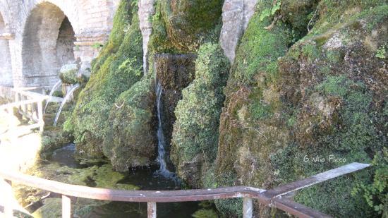 la Fontana di Civitanova