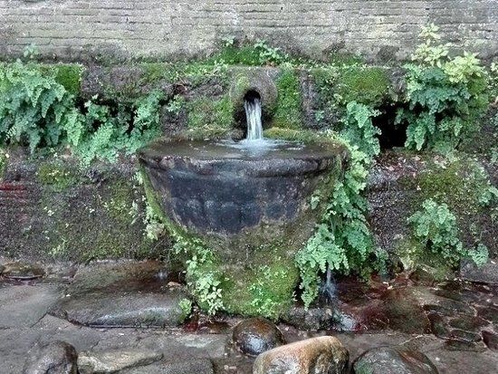 la Fonte della Noce