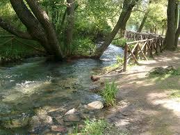 Parco Fluviale delle Acquevive