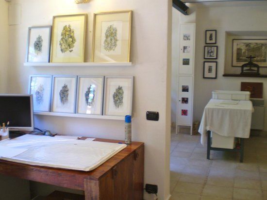 Dedalo - Centro per le Arti Contemporanee